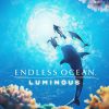 Se den nye trailer til Endless Ocean Luminous